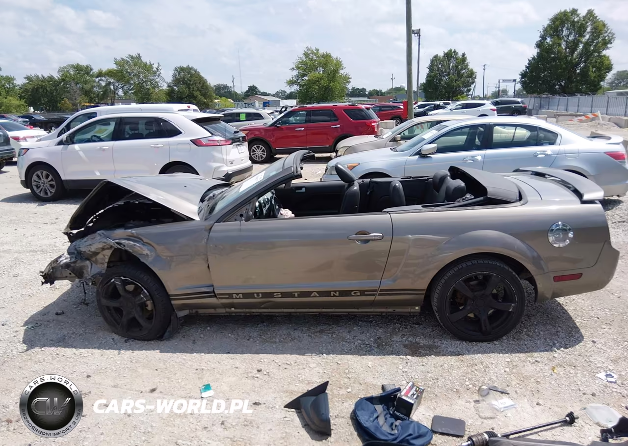 2005 Ford Mustang VIN:1ZVFT84N955232299 - 15