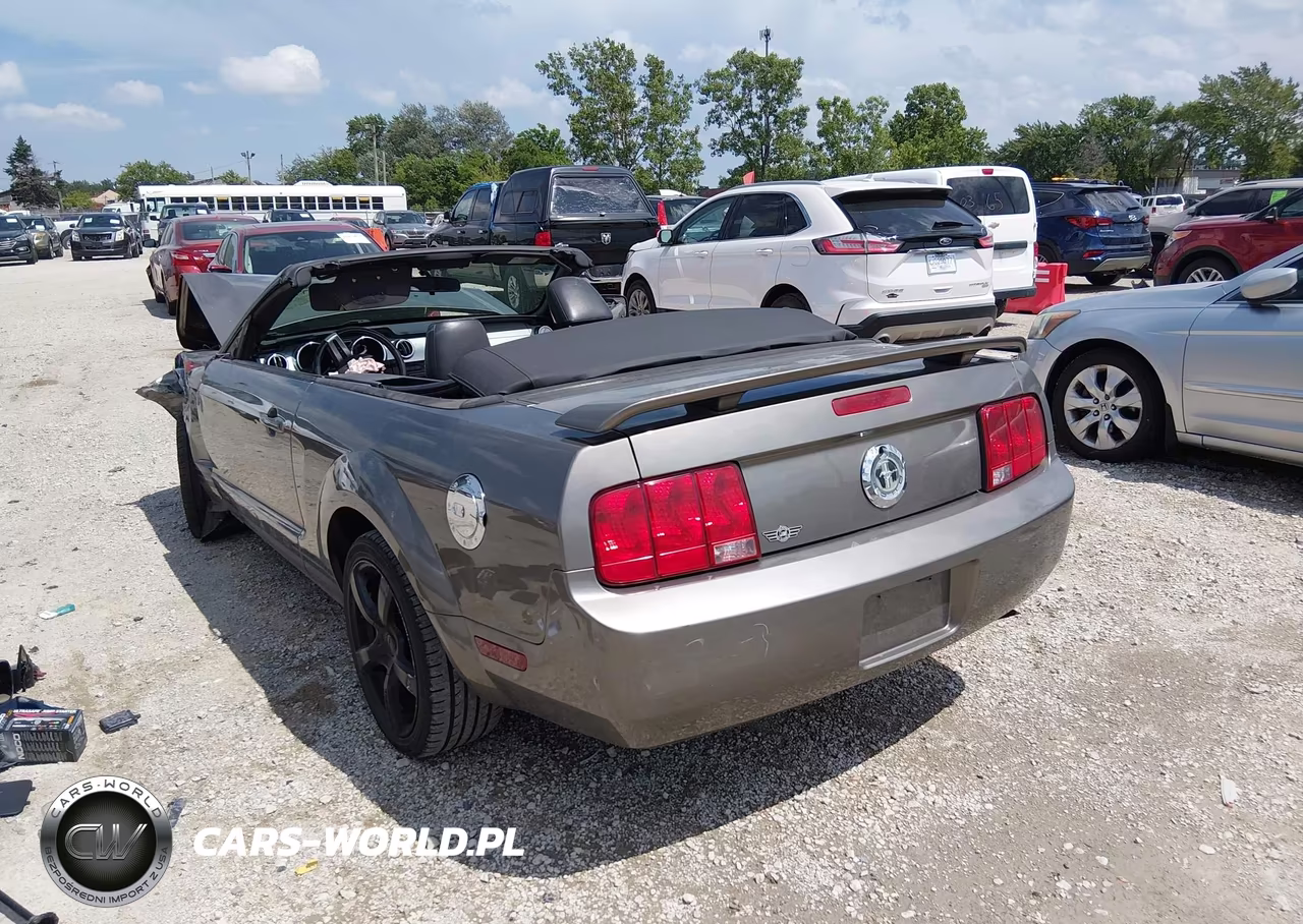 2005 Ford Mustang VIN:1ZVFT84N955232299 - 3