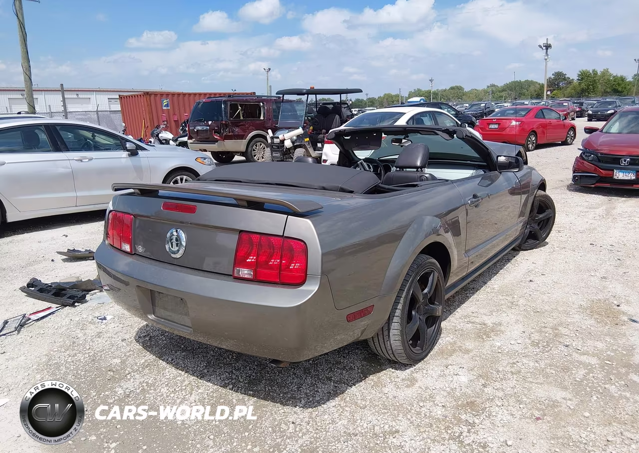 2005 Ford Mustang VIN:1ZVFT84N955232299 - 4