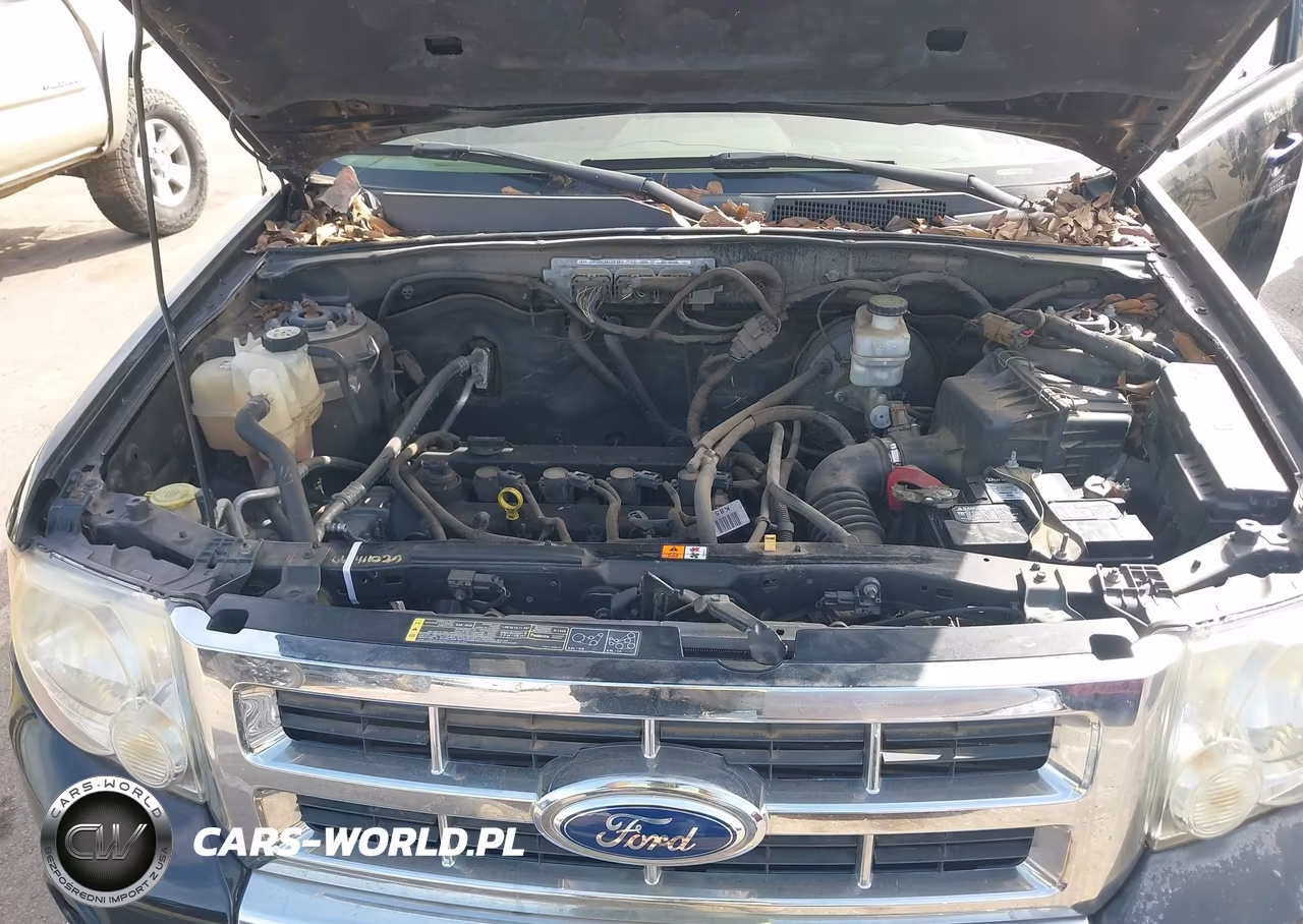 2012 Ford Escape Limited VIN:1FMCU0E78CKB06806 - 10