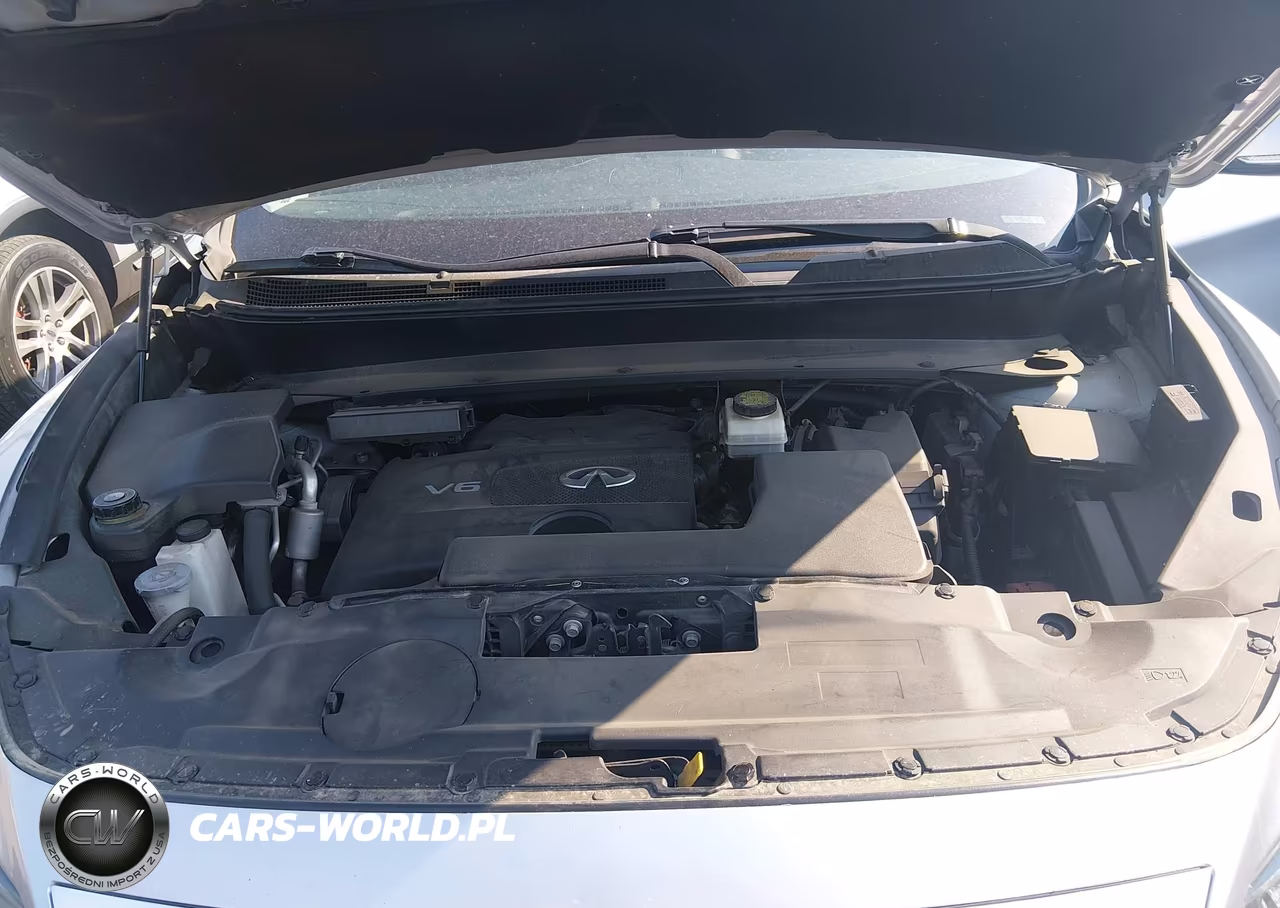 2019 Infiniti Qx60 Pure VIN:5N1DL0MM6KC557630 - 10