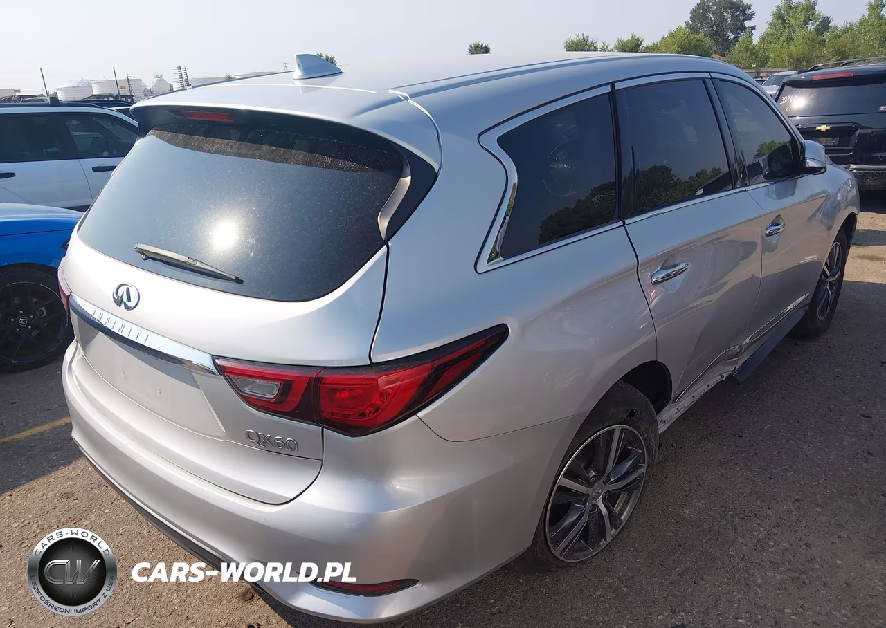 2019 Infiniti Qx60 Pure VIN:5N1DL0MM6KC557630 - 4