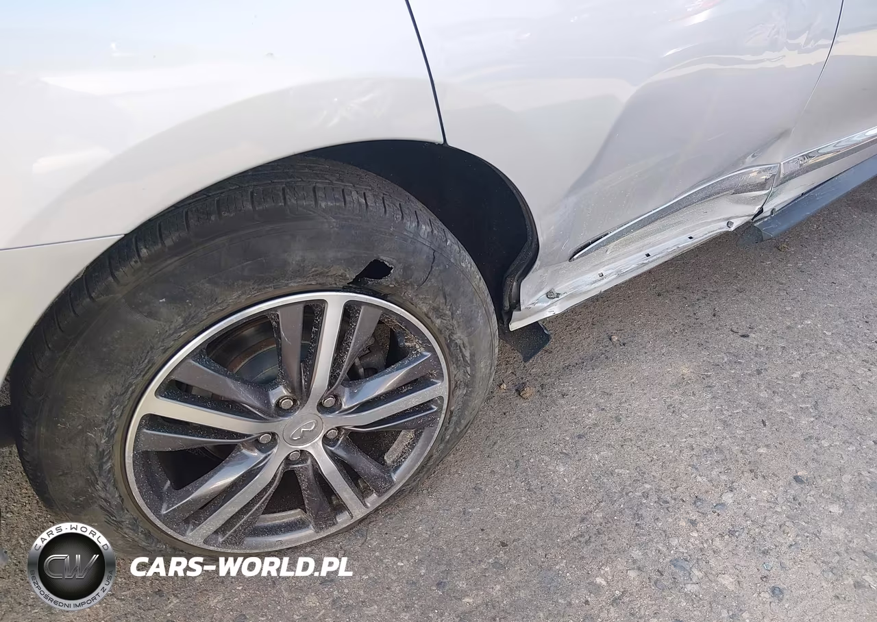 2019 Infiniti Qx60 Pure VIN:5N1DL0MM6KC557630 - 6