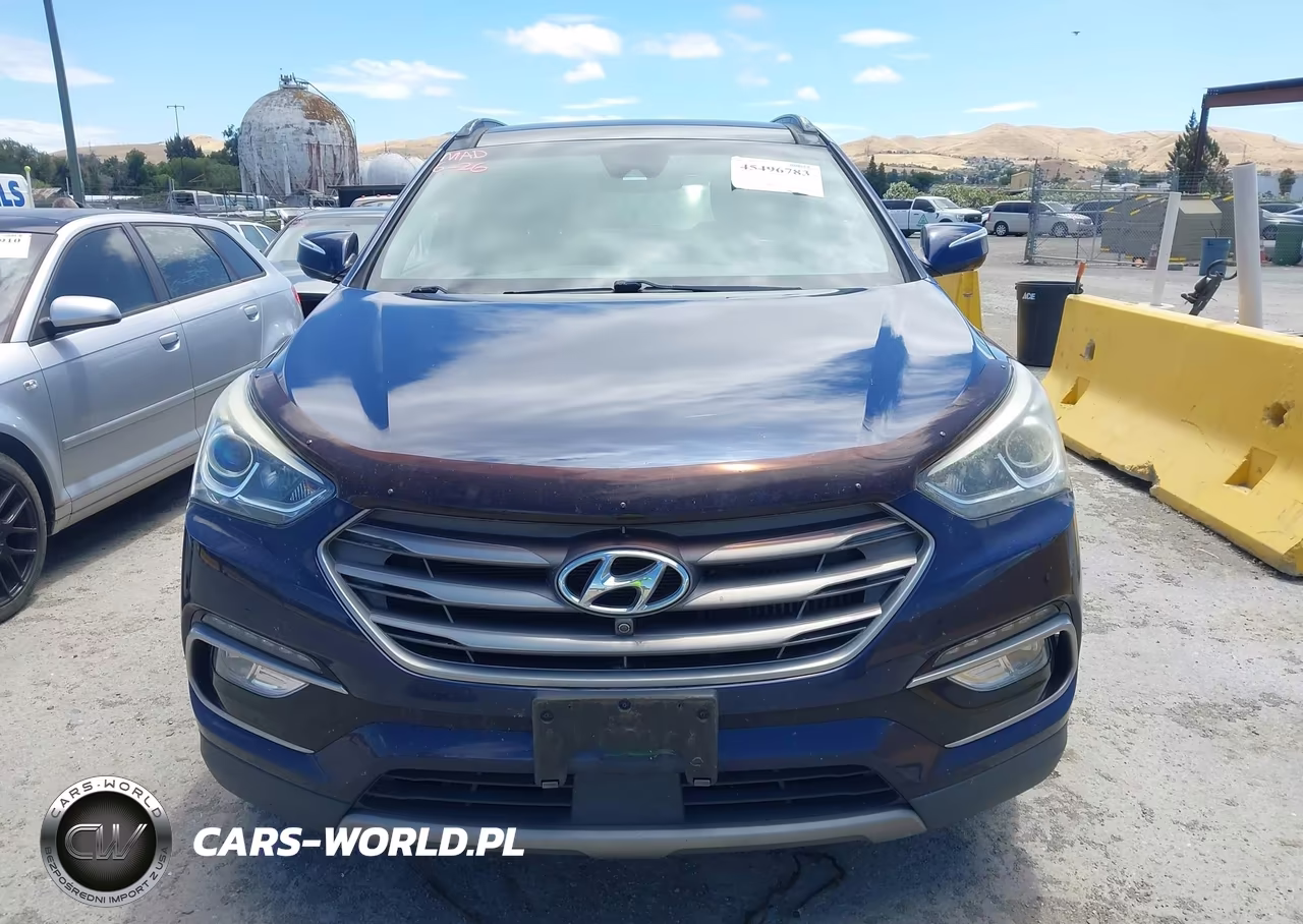 2017 Hyundai Santa Fe Sport VIN:5XYZWDLA8HG397884 - 12