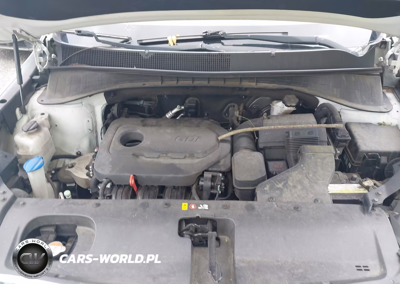 2016 Kia Sorento 2.4L Lx VIN:5XYPGDA35GG014958 - 10