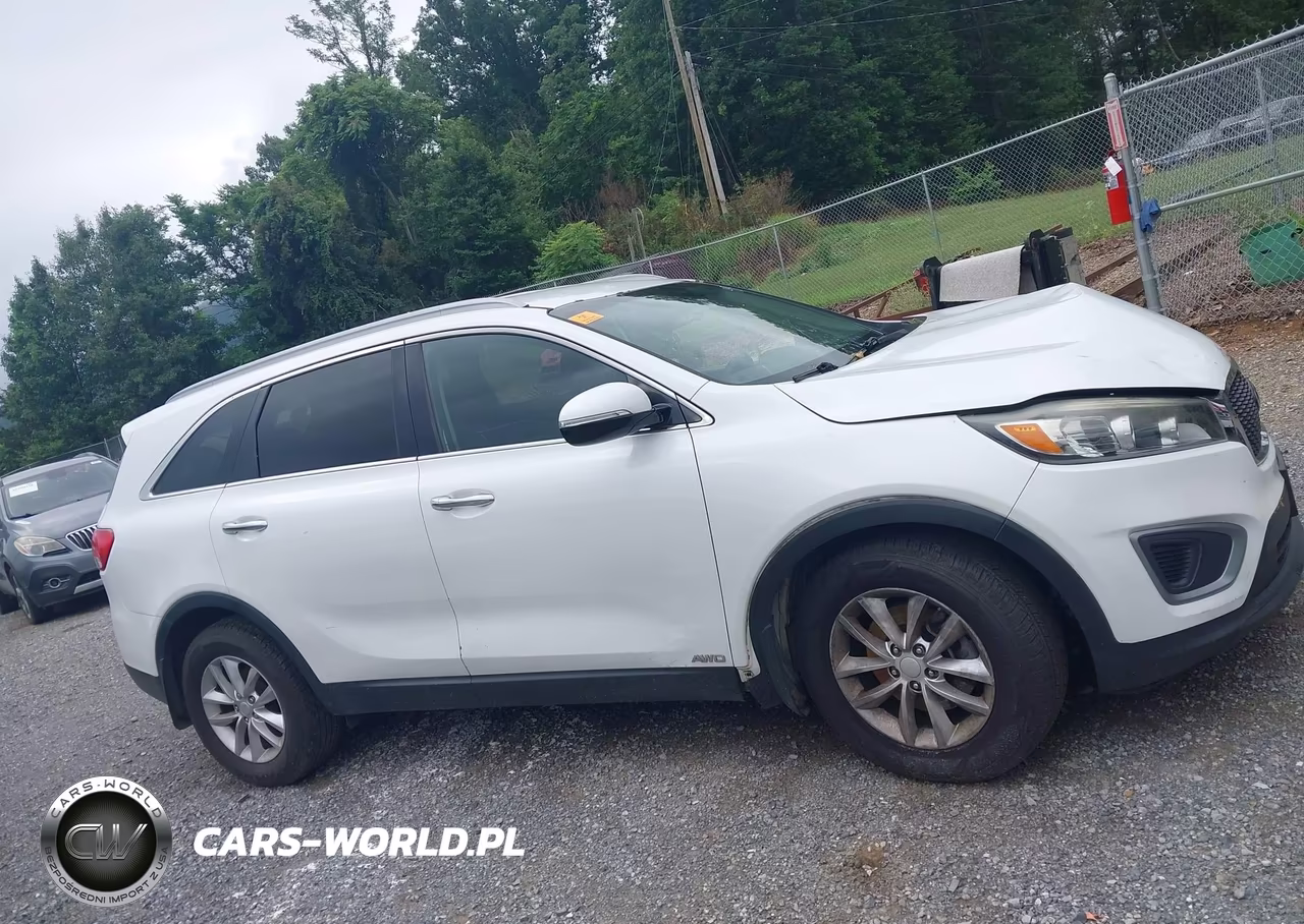 2016 Kia Sorento 2.4L Lx VIN:5XYPGDA35GG014958 - 13