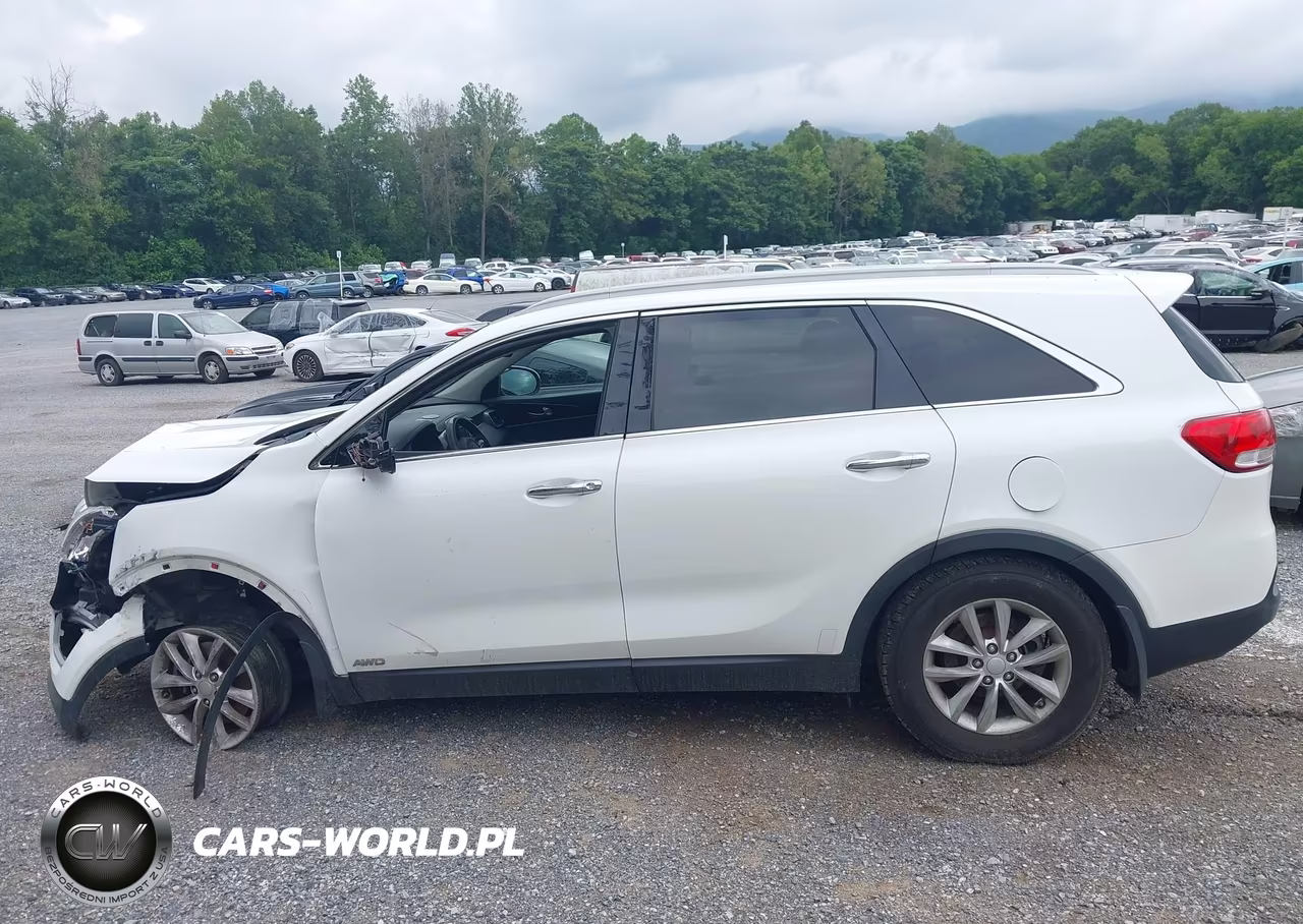2016 Kia Sorento 2.4L Lx VIN:5XYPGDA35GG014958 - 14