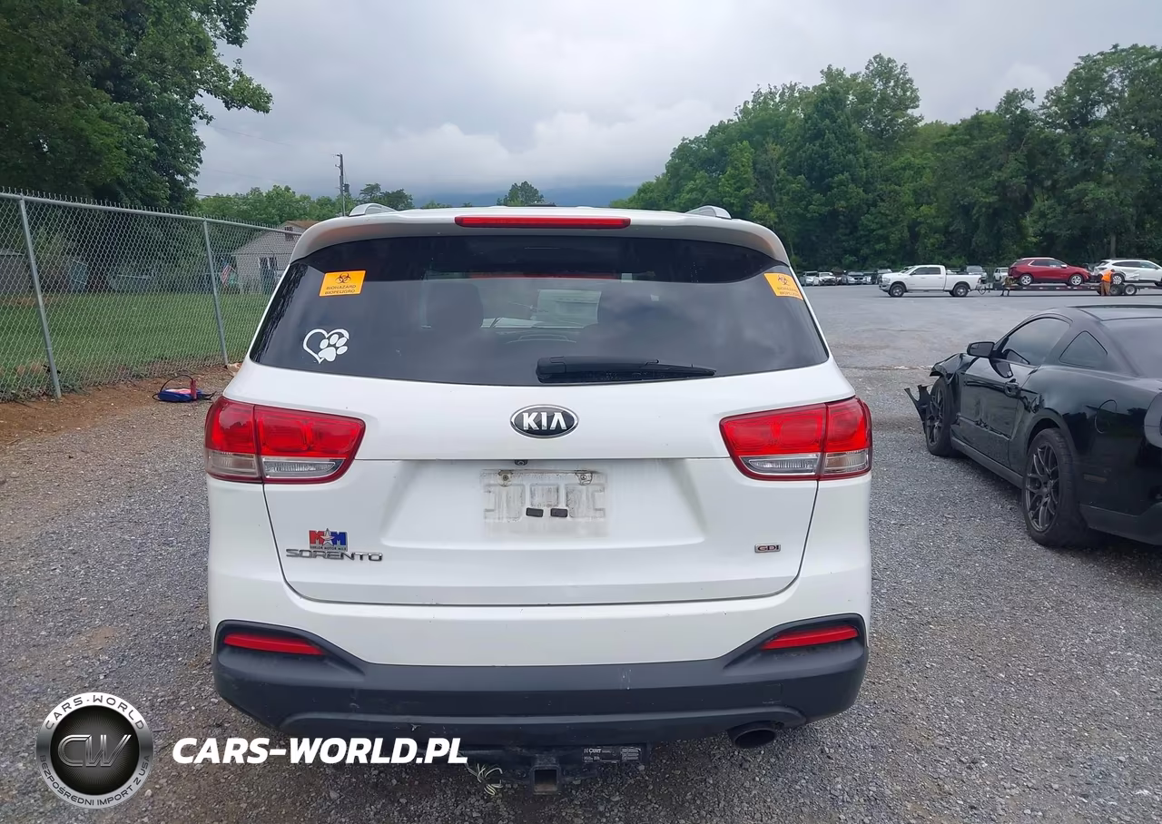 2016 Kia Sorento 2.4L Lx VIN:5XYPGDA35GG014958 - 16