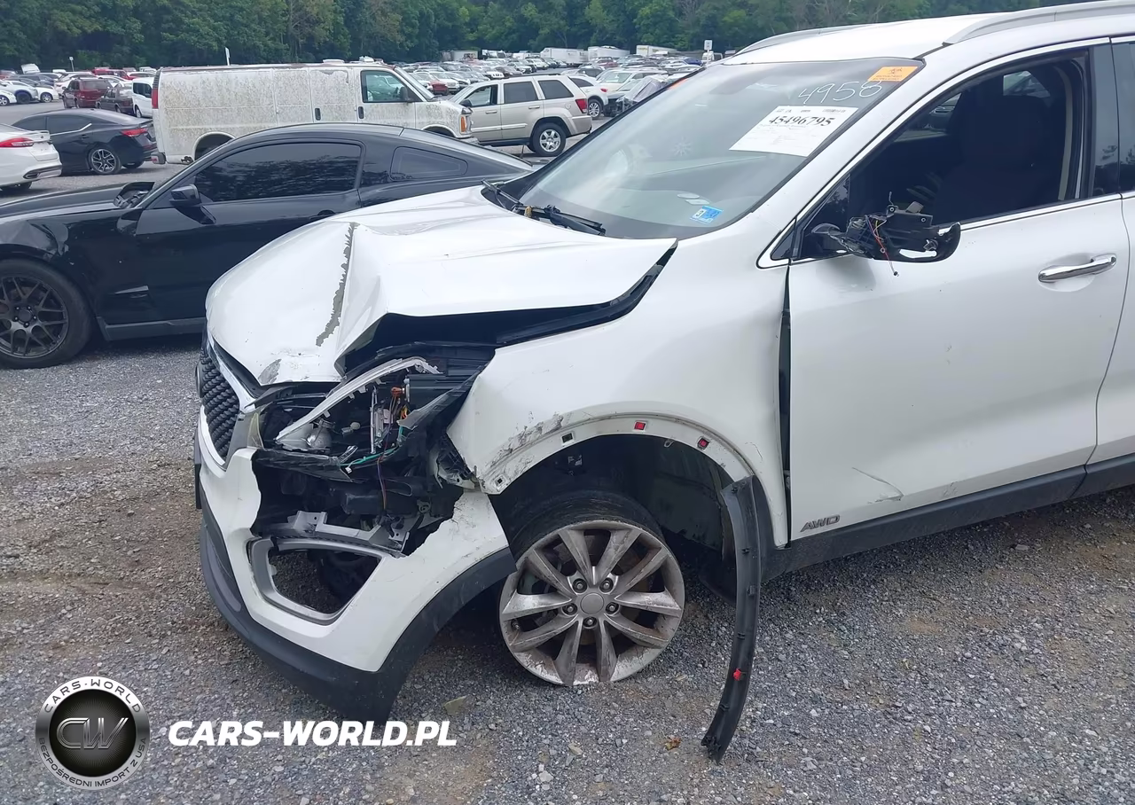 2016 Kia Sorento 2.4L Lx VIN:5XYPGDA35GG014958 - 6
