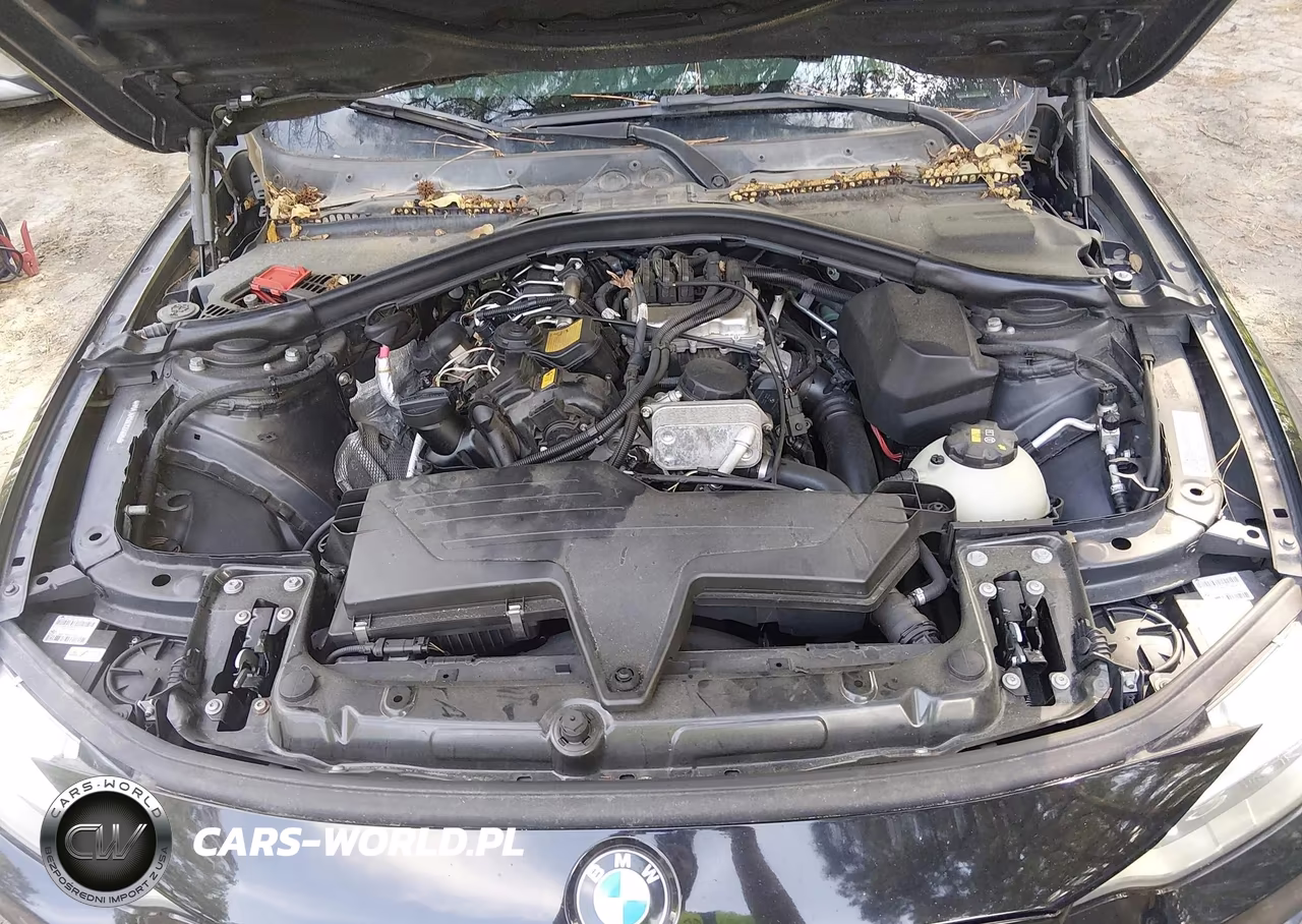 2014 BMW 428I VIN:WBA3N7C56EK220685 - 10