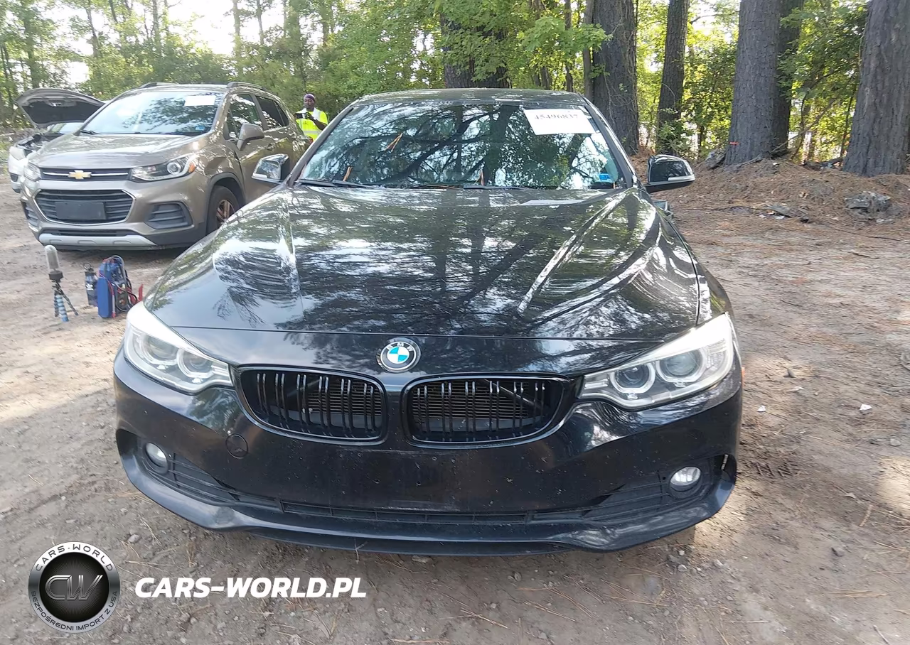 2014 BMW 428I VIN:WBA3N7C56EK220685 - 12