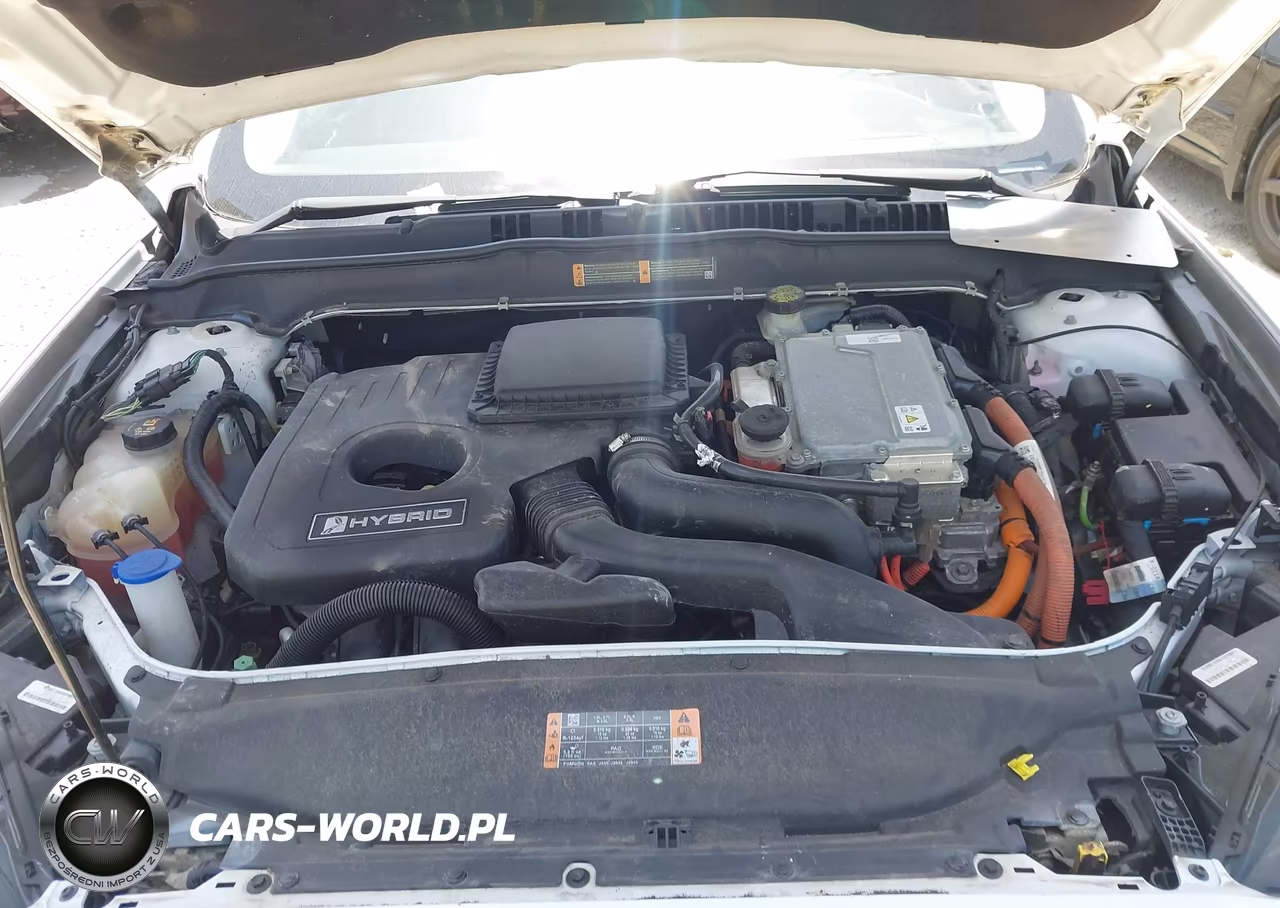 2017 Ford Fusion Hybrid Se VIN:3FA6P0LU3HR409485 - 10