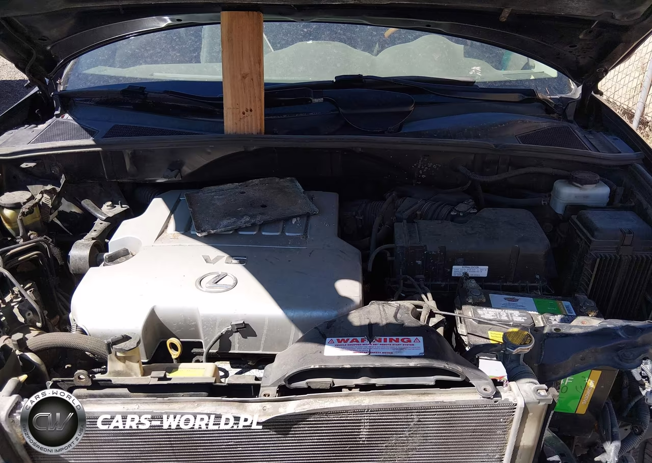 2009 Lexus Rx 350 VIN:2T2HK31U39C097760 - 10