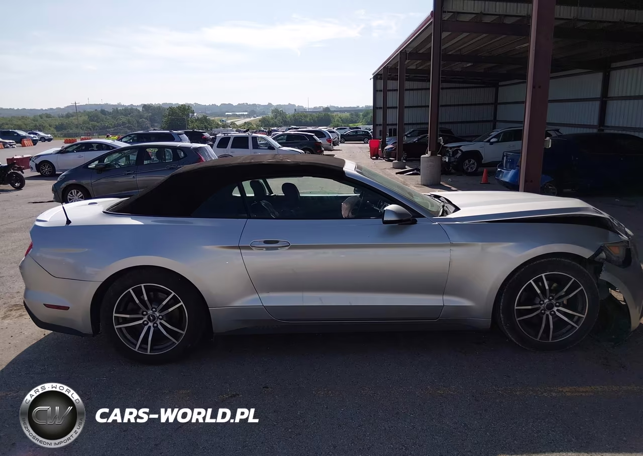 2016 Ford Mustang Ecoboost Premium VIN:1FATP8UH6G5226649 - 13