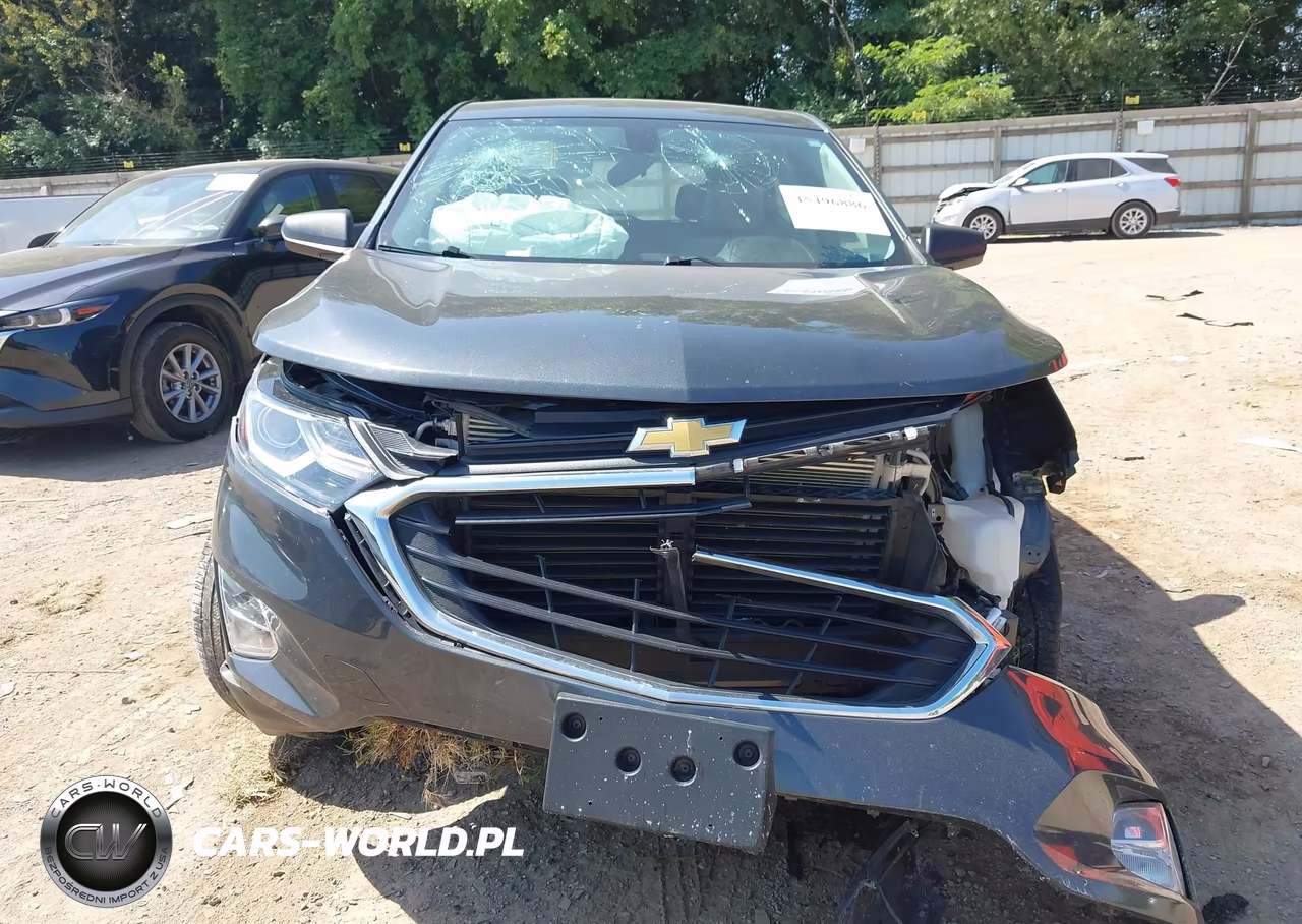 2019 Chevrolet Equinox Ls VIN:3GNAXHEV7KL283285 - 13