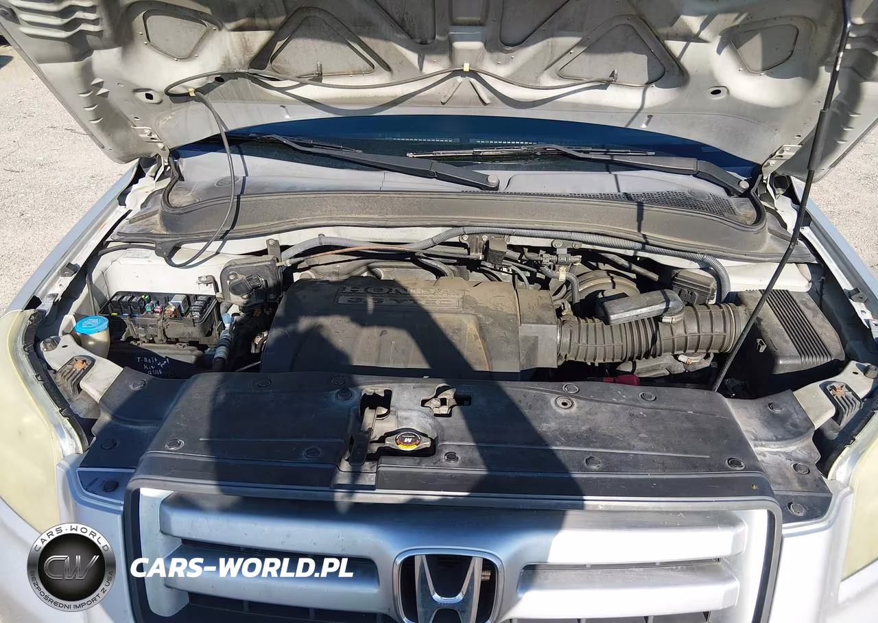 2006 Honda Pilot Ex-L VIN:5FNYF185X6B011301 - 10