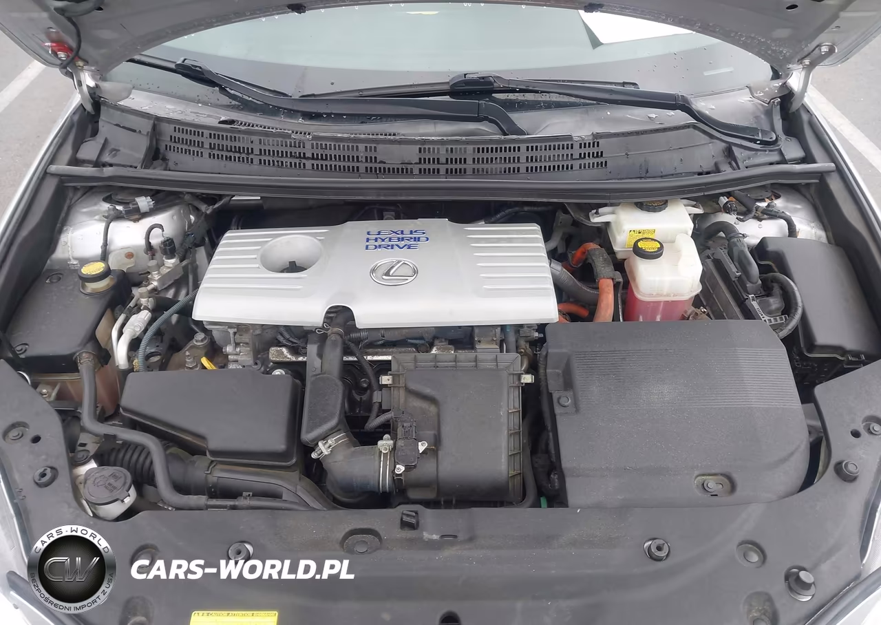2011 Lexus Ct 200H Premium VIN:JTHKD5BH9B2034943 - 10