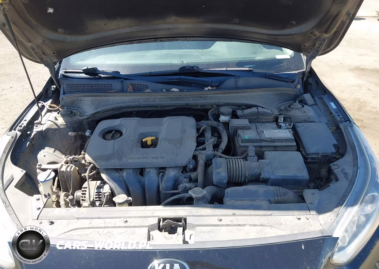 2019 Kia Forte Lxs VIN:3KPF24AD8KE092854 - 10