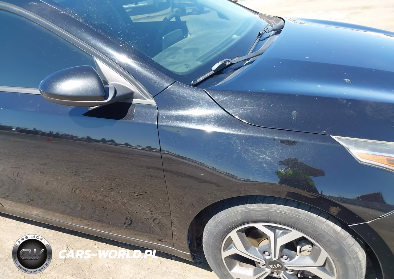 2019 Kia Forte Lxs VIN:3KPF24AD8KE092854 - 19