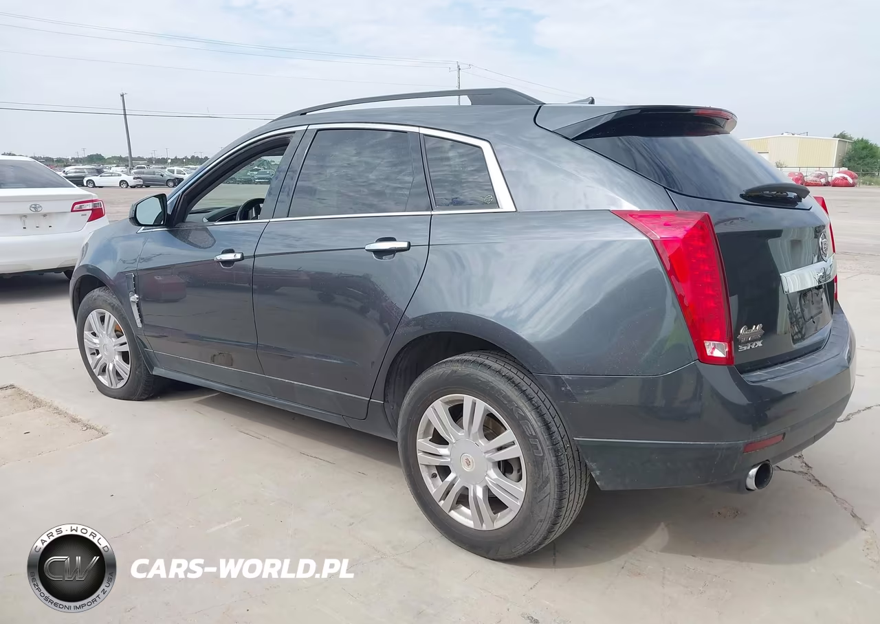 2010 Cadillac Srx Standard VIN:3GYFNGEY5AS591434 - 3