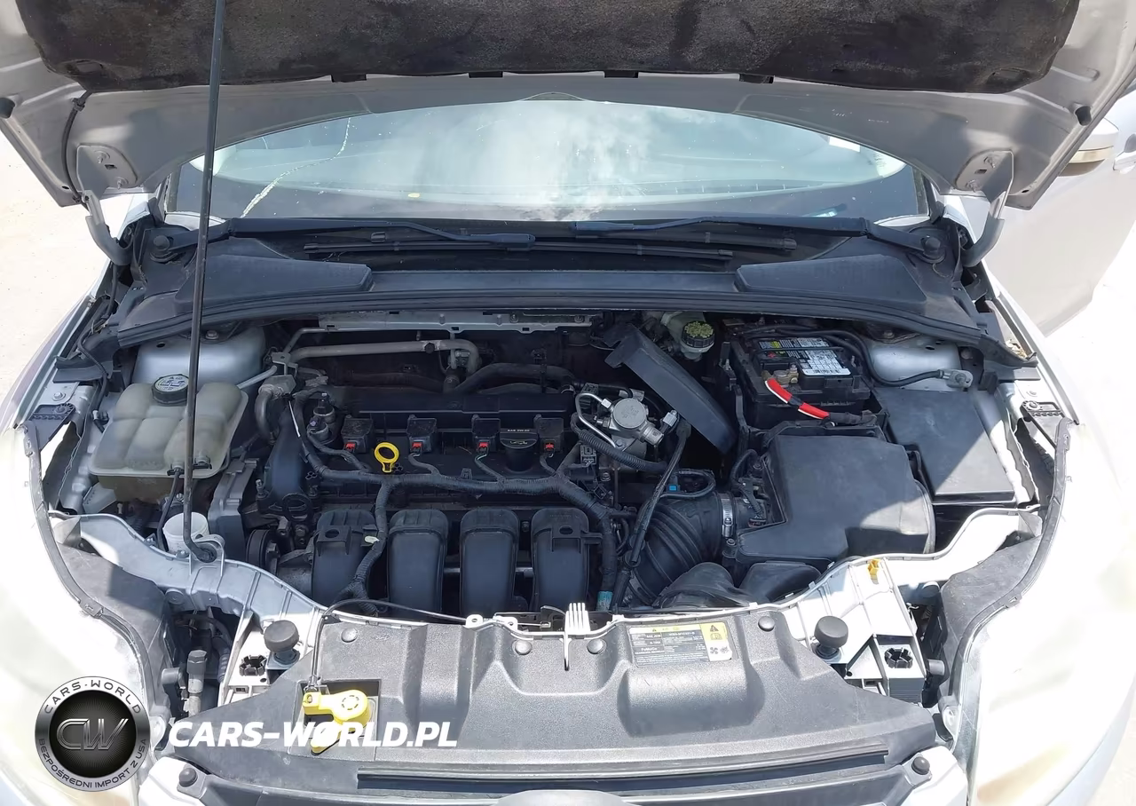 2014 Ford Focus Se VIN:1FADP3F25EL117639 - 10