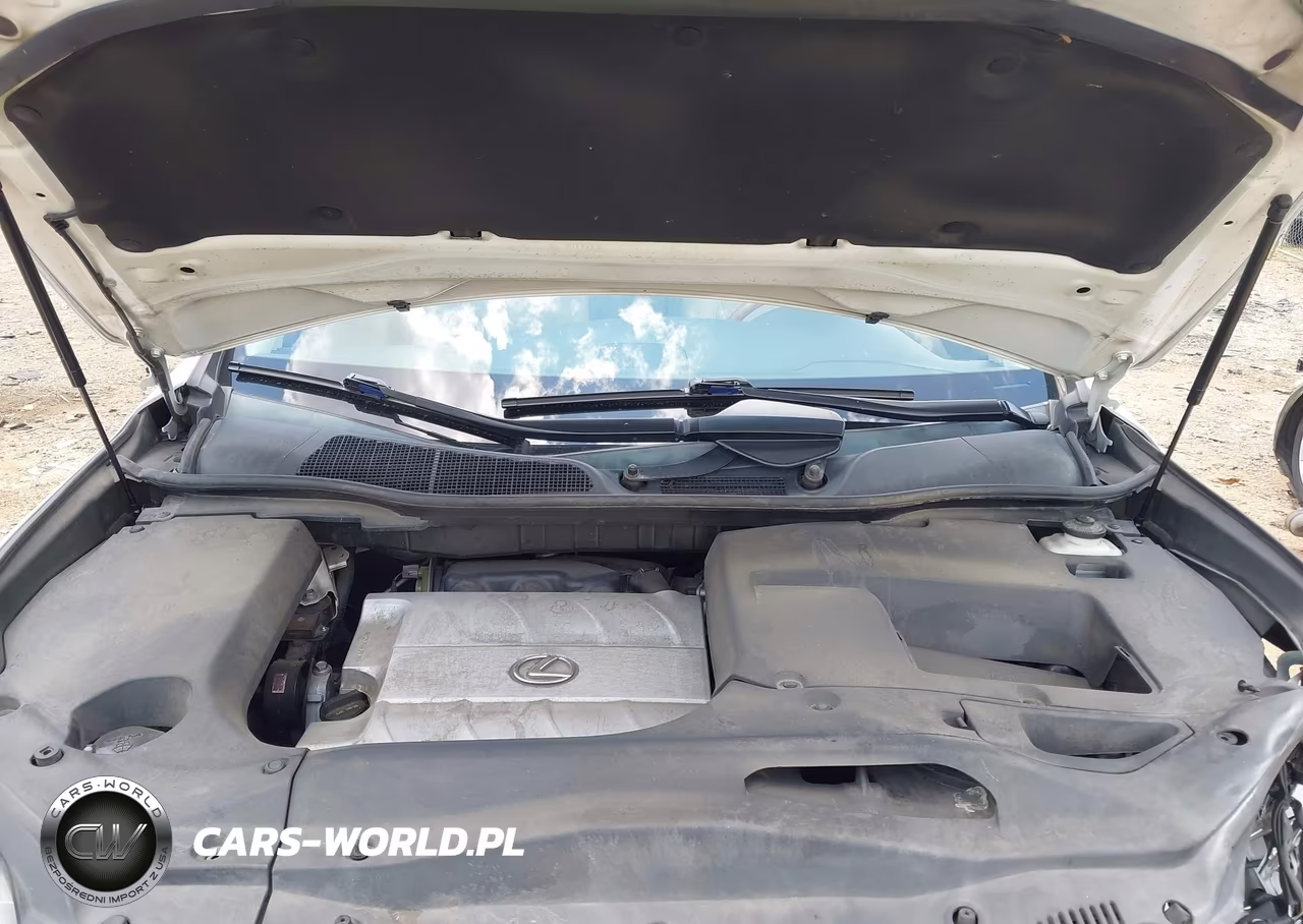 2012 Lexus Rx 350 VIN:2T2BK1BA7CC125680 - 10