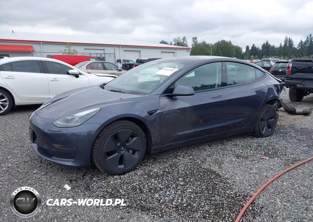 2023 Tesla Model 3 Rear-Wheel Drive VIN:5YJ3E1EA7PF581160 - 2