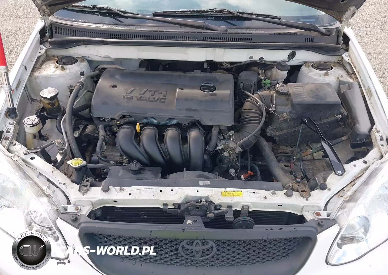 2003 Toyota Corolla S VIN:1NXBR32E93Z156524 - 10