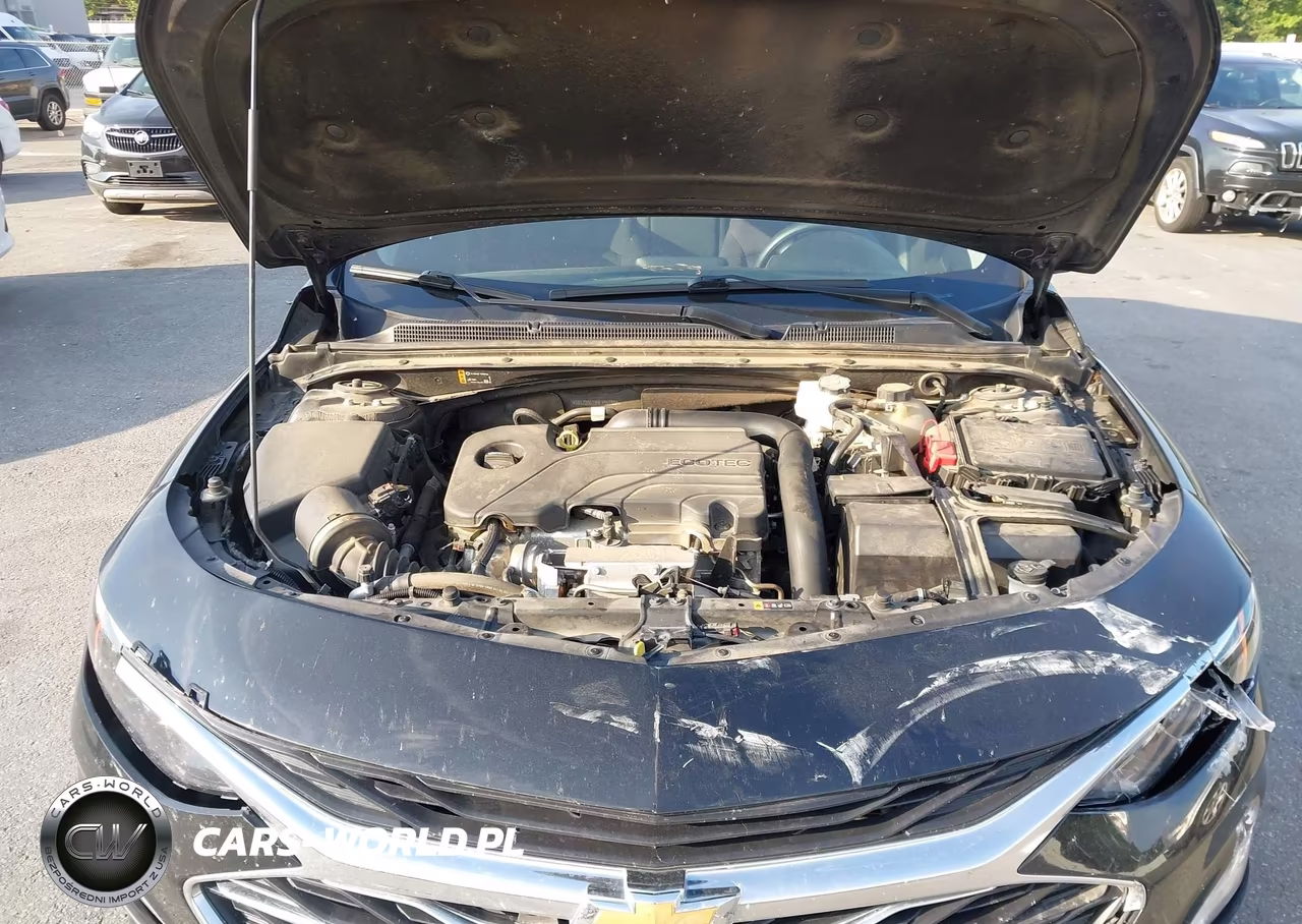 2024 Chevrolet Malibu Fwd 1Lt VIN:1G1ZD5ST9RF156766 - 10