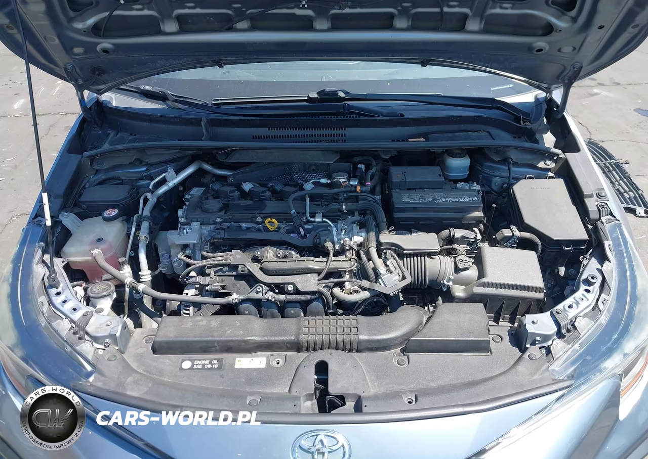 2020 Toyota Corolla Se VIN:JTDS4RCE2LJ048056 - 10