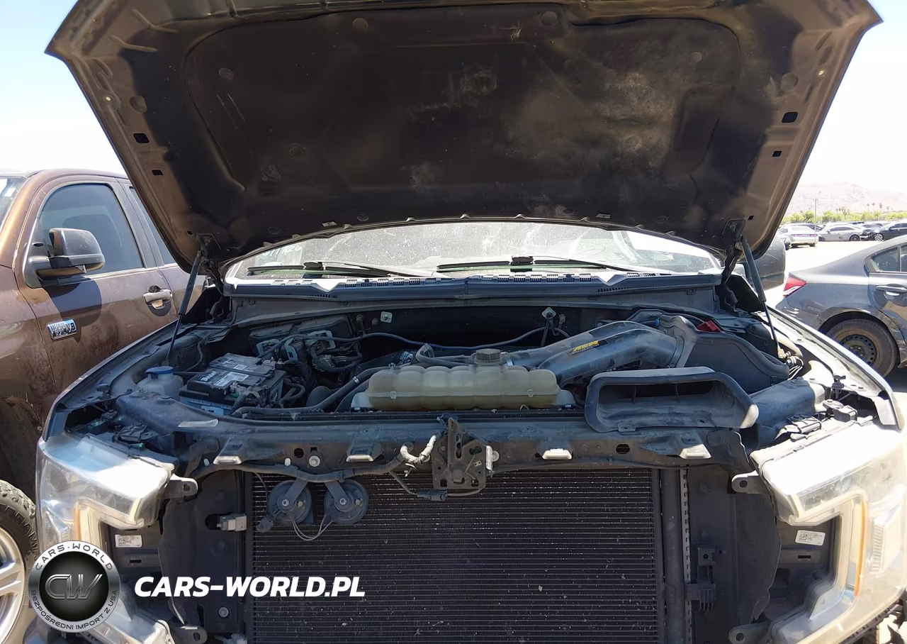 2019 Ford F-150 Xlt VIN:1FTEW1EP8KKE38269 - 10