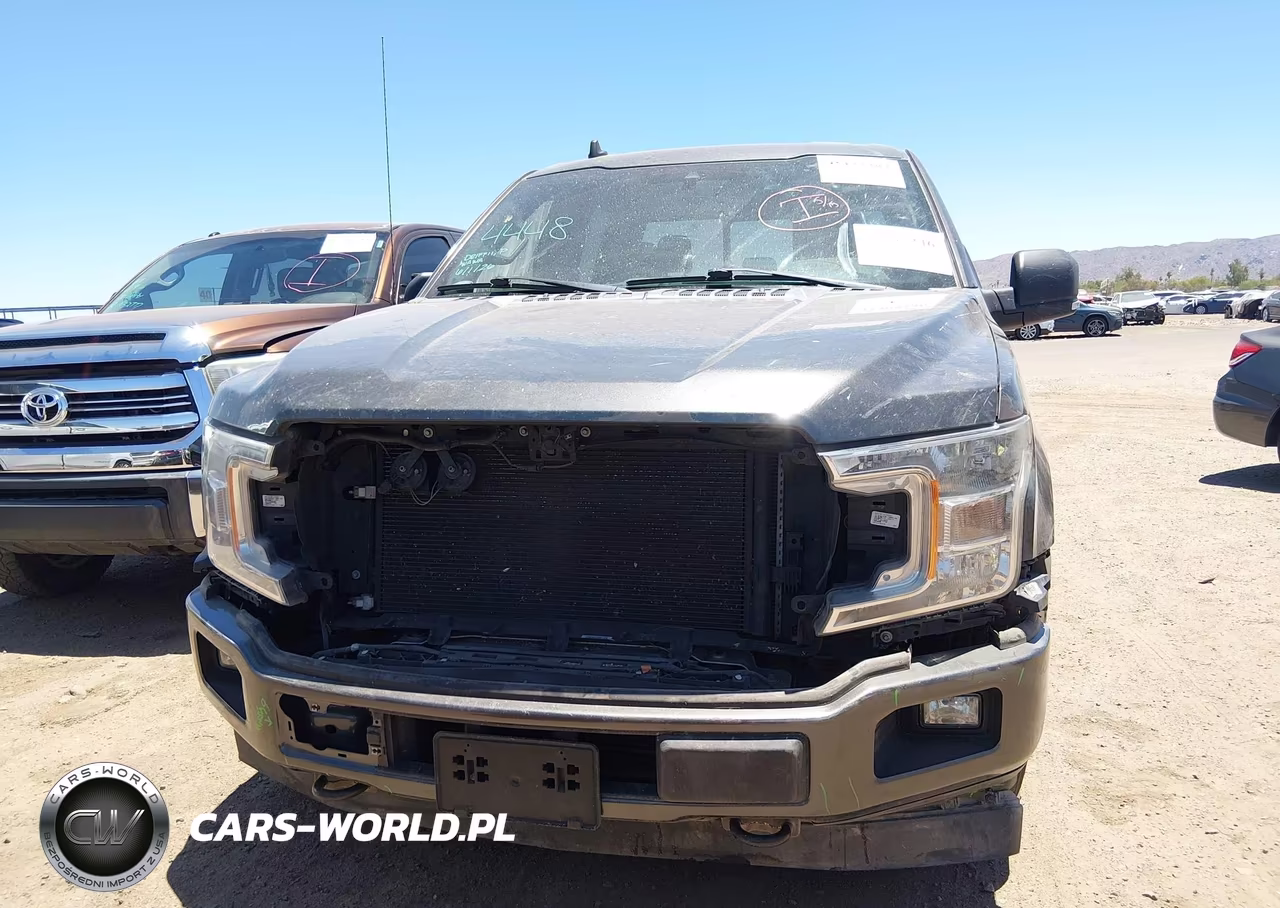 2019 Ford F-150 Xlt VIN:1FTEW1EP8KKE38269 - 12