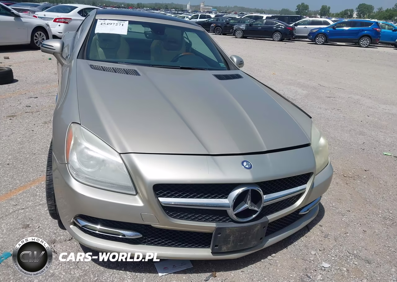 2012 Mercedes-Benz Slk 250 VIN:WDDPK4HAXCF038811 - 12