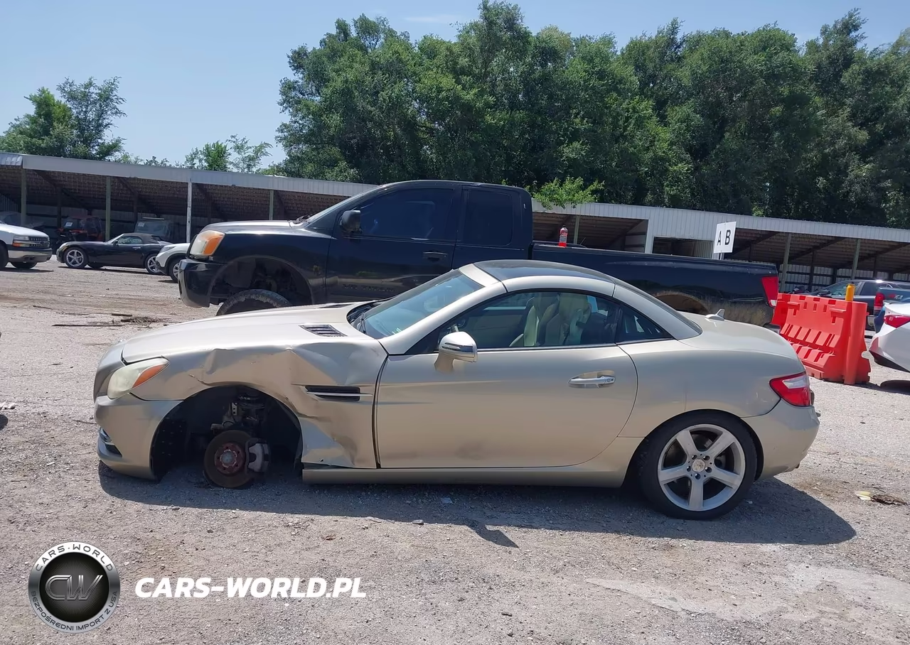 2012 Mercedes-Benz Slk 250 VIN:WDDPK4HAXCF038811 - 14
