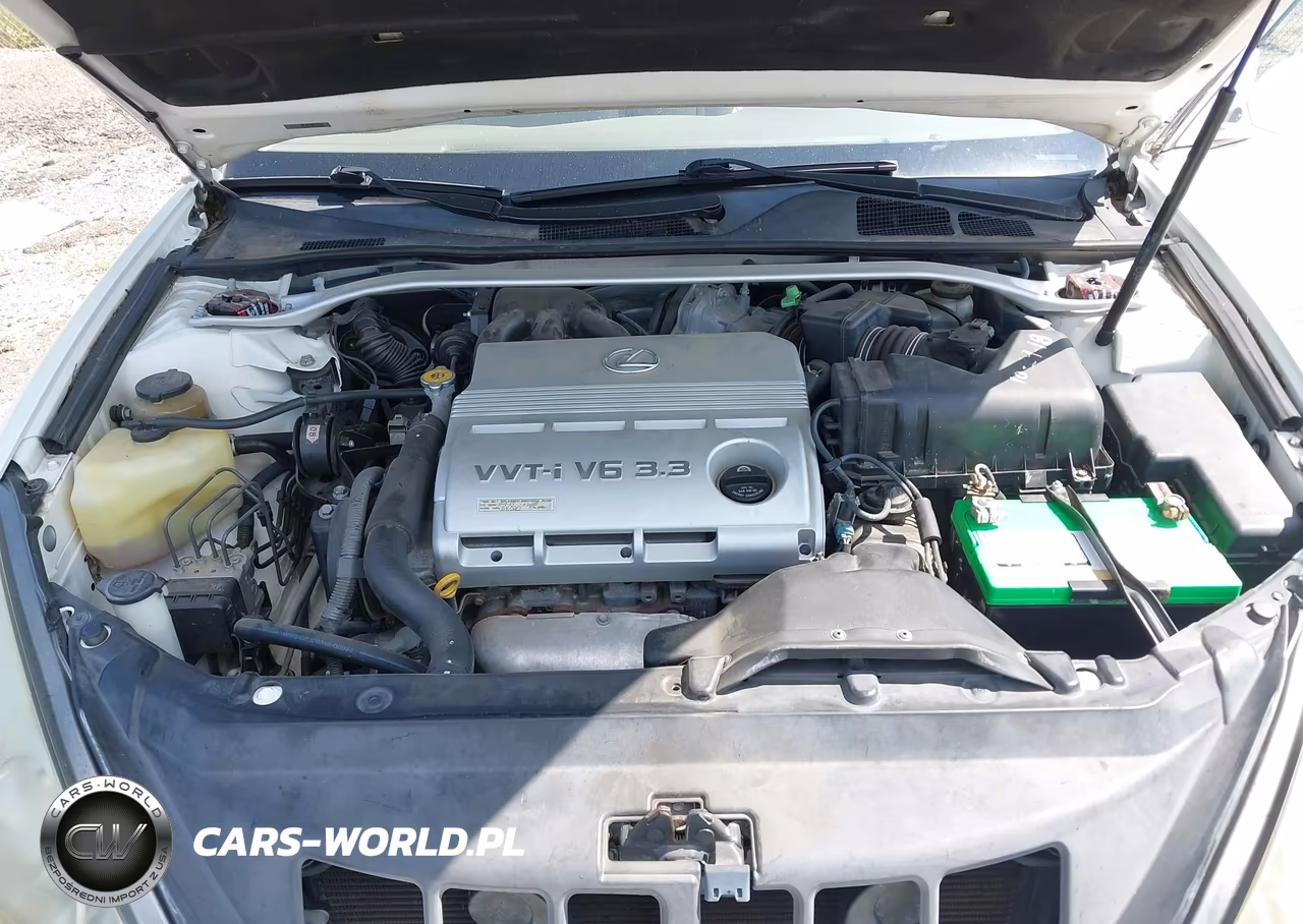 2006 Lexus Es 330 VIN:JTHBA30G765173769 - 10