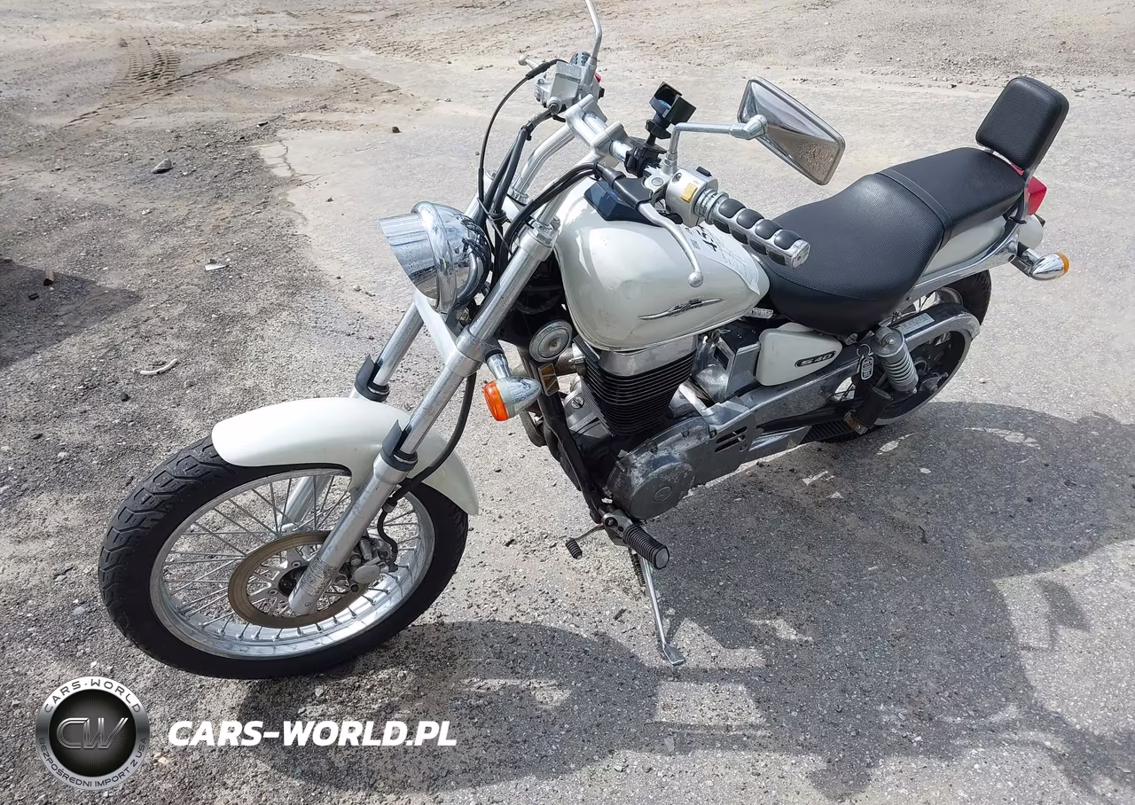 2005 Suzuki Ls650 P VIN:JS1NP41A052102663 - 14