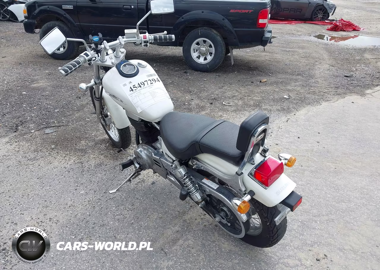 2005 Suzuki Ls650 P VIN:JS1NP41A052102663 - 3