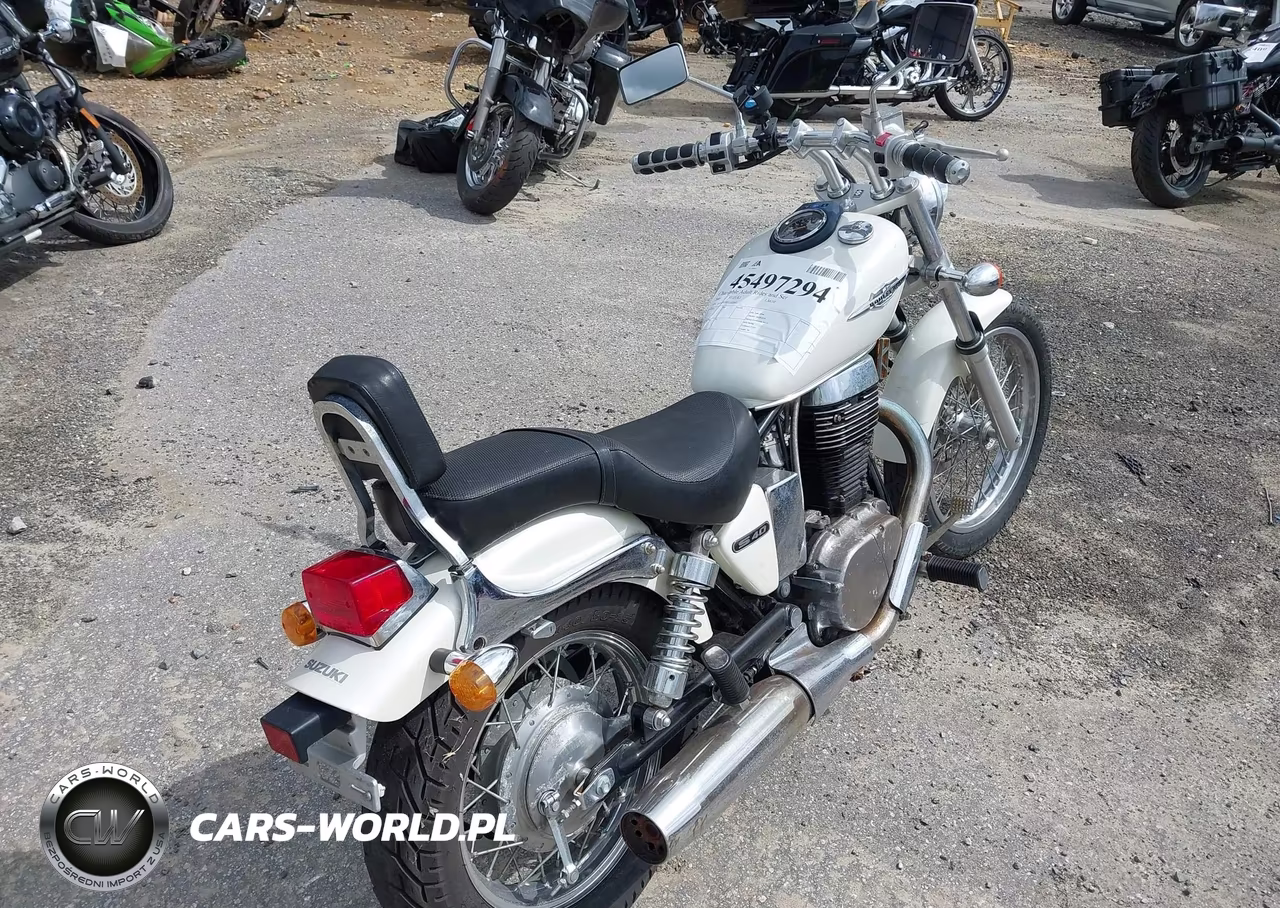 2005 Suzuki Ls650 P VIN:JS1NP41A052102663 - 4