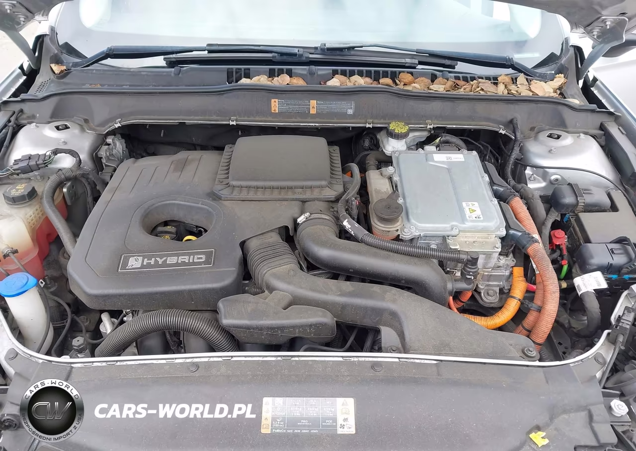 2018 Ford Fusion Hybrid Se VIN:3FA6P0LU4JR247808 - 10