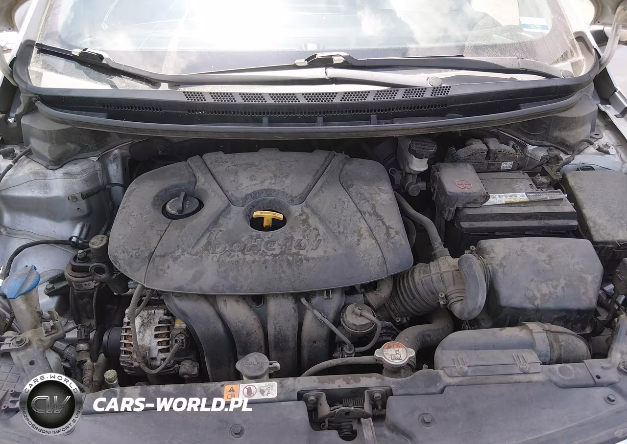 2016 Kia Forte Lx VIN:KNAFK4A69G5616868 - 10