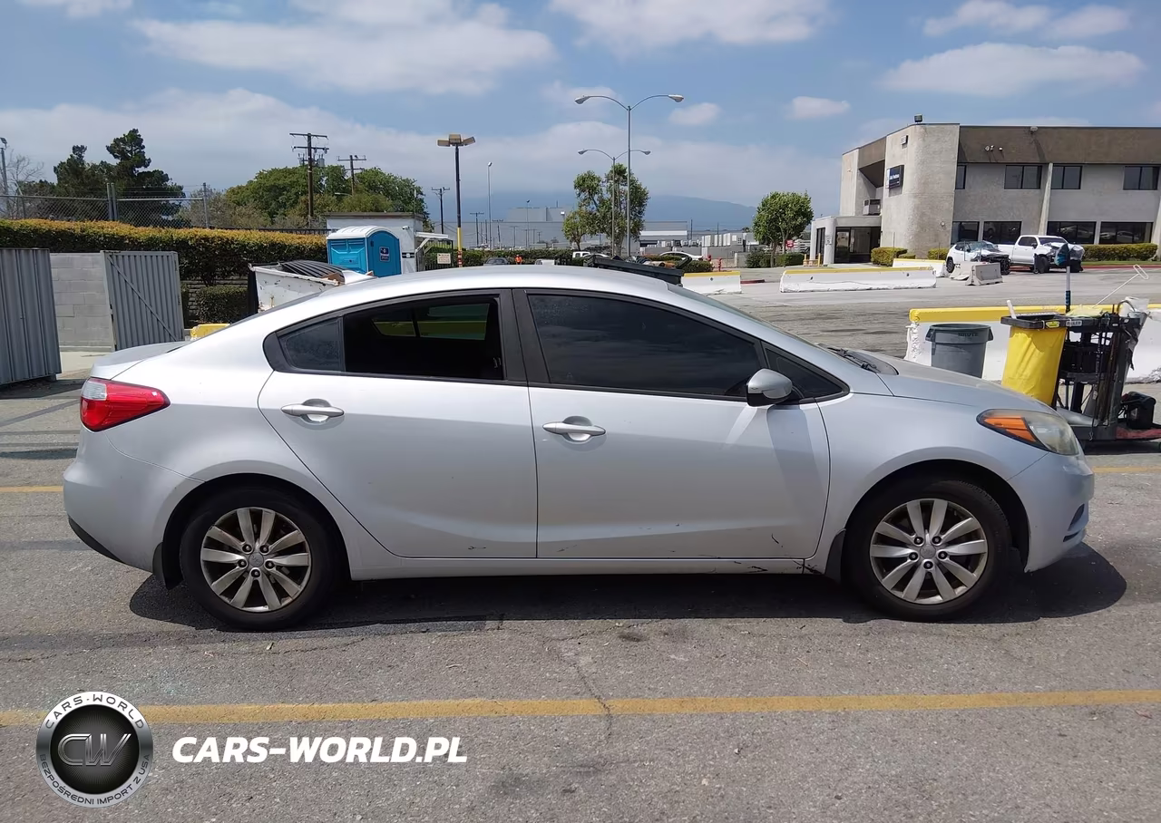 2016 Kia Forte Lx VIN:KNAFK4A69G5616868 - 13