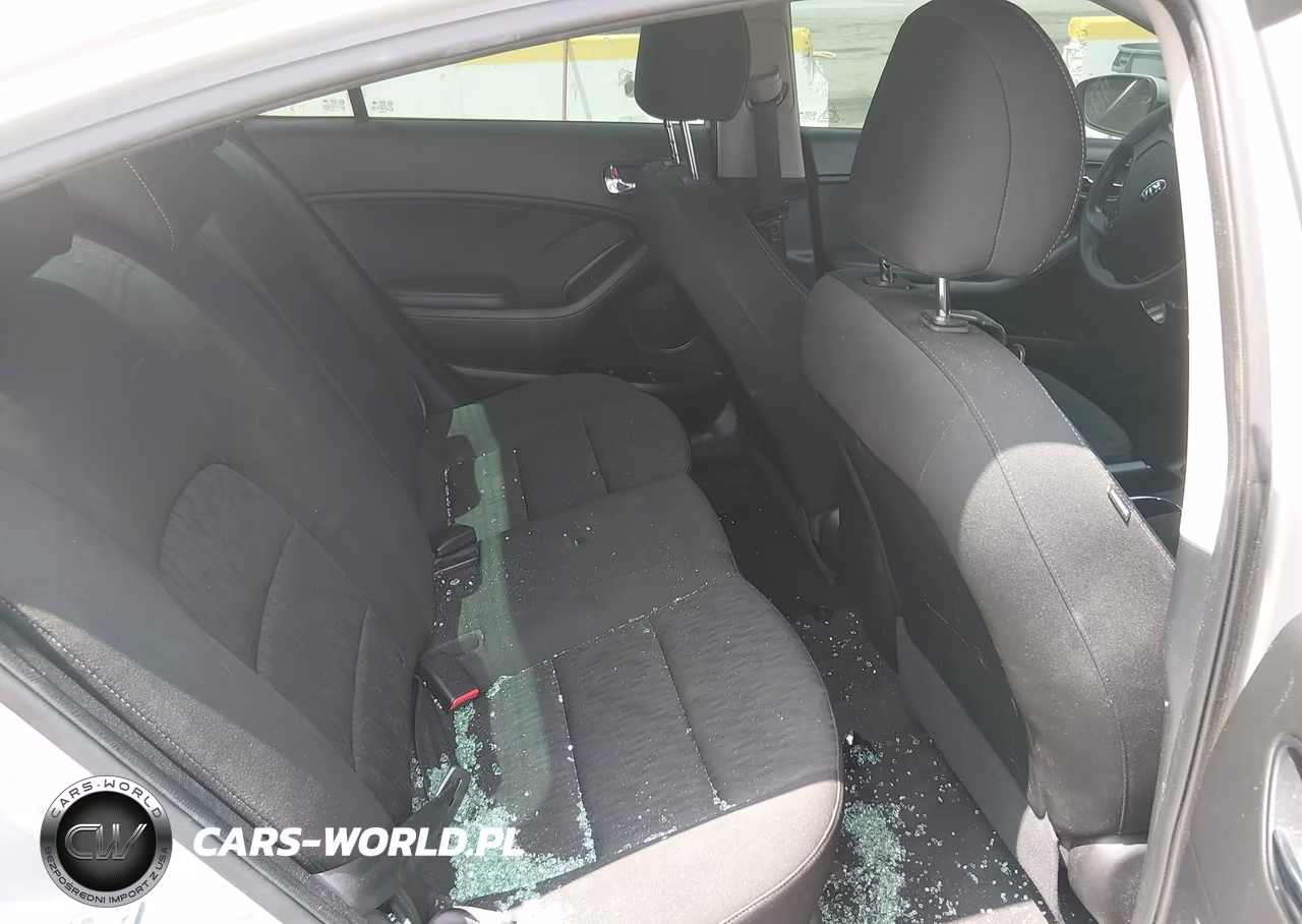 2016 Kia Forte Lx VIN:KNAFK4A69G5616868 - 8