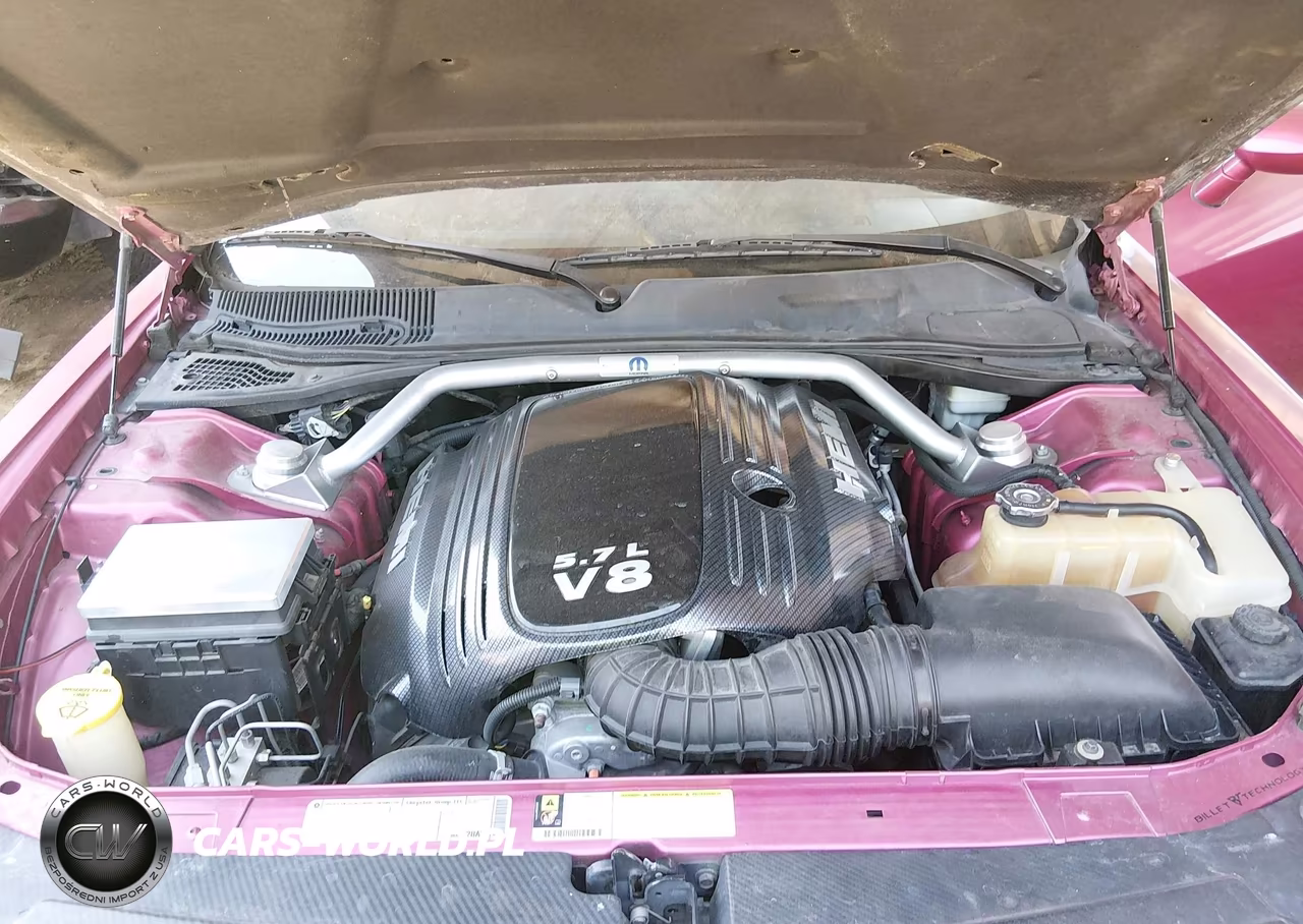 2010 Dodge Challenger R-T VIN:2B3CJ5DT2AH295659 - 10