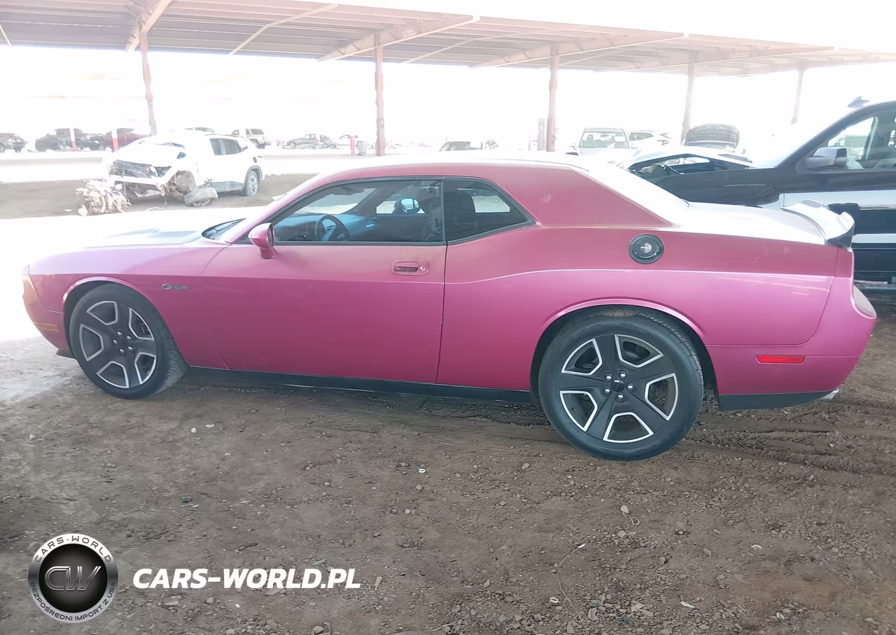2010 Dodge Challenger R-T VIN:2B3CJ5DT2AH295659 - 14