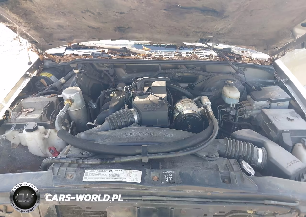 1999 Chevrolet S-10 Ls VIN:1GCCS194XXK230792 - 10