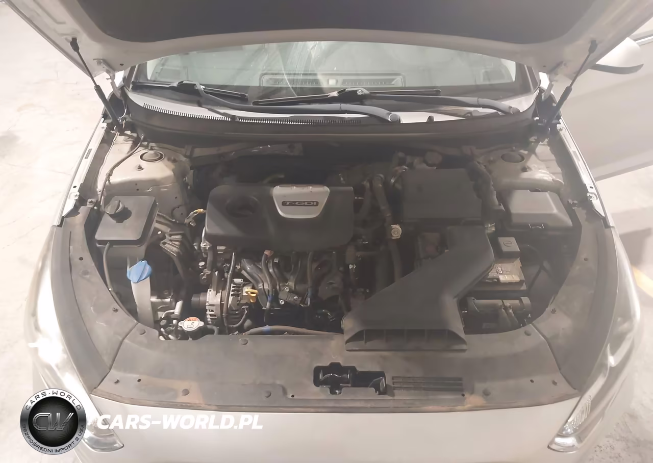 2019 Hyundai Sonata Eco VIN:5NPE24AA1KH801590 - 10