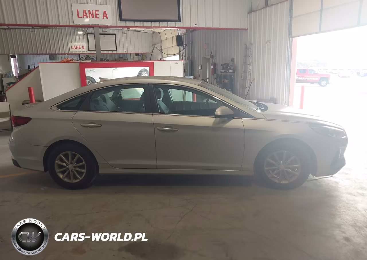 2019 Hyundai Sonata Eco VIN:5NPE24AA1KH801590 - 14