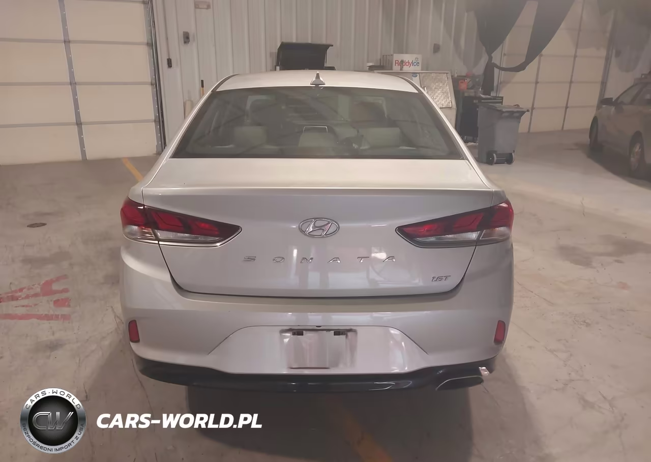 2019 Hyundai Sonata Eco VIN:5NPE24AA1KH801590 - 17