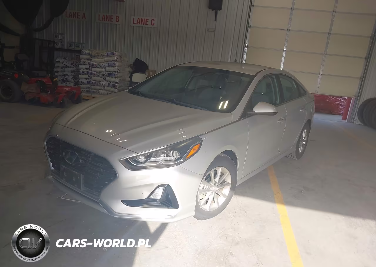 2019 Hyundai Sonata Eco VIN:5NPE24AA1KH801590 - 2