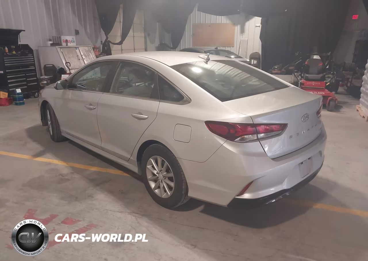 2019 Hyundai Sonata Eco VIN:5NPE24AA1KH801590 - 3